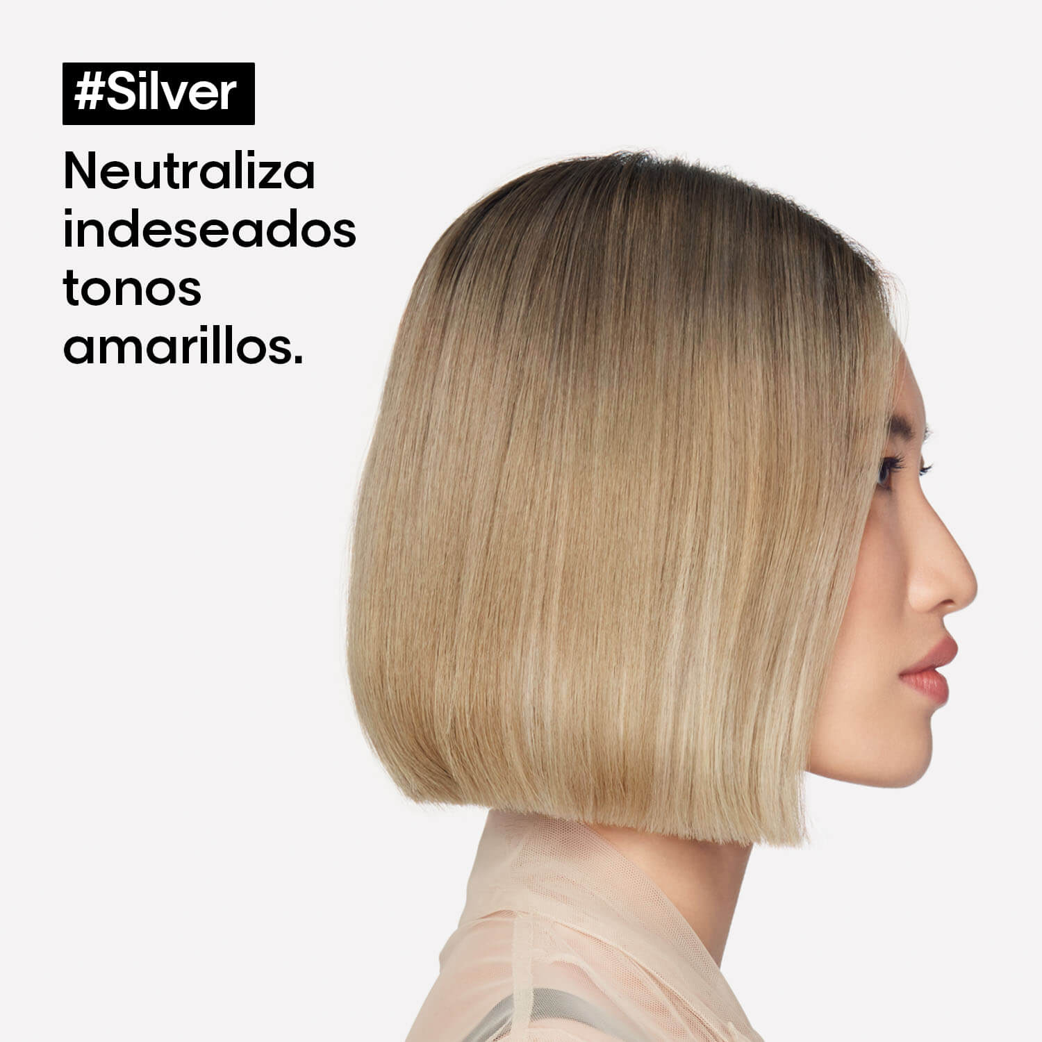 SHAMPOO SILVER (SHAMPOO PARA CABELLO GRIS, PLATINADO O CON CANAS)